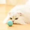 juguete interactivo gatos uruguay, bola inteligente para gatos precio, pelota para gatos recargable, juguete automático para mascotas, juguete gatos que se mueve solo, bola luz led para gatos, juego para gatos hiperactivos, juguete estimulación felina uruguay, entretenimiento para gatos solo en casa, bola usb para perros pequeños