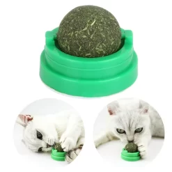 hierba gatera, golosina para gatos, michis